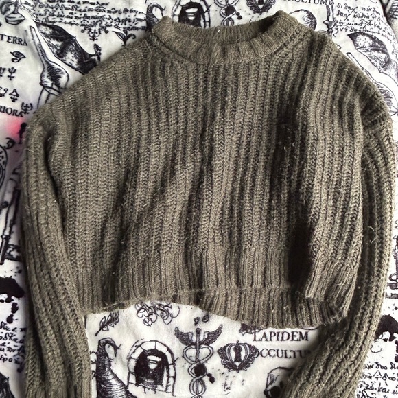 Cropped American Eagle Knit Crewneck - Picture 1 of 3